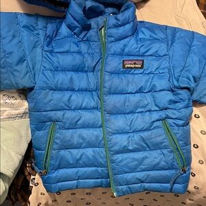 Patagonia Vibrant Blue Quilted Jacket
